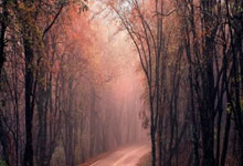 咪咕体育：网传判决书：金敬道曾串通孙准浩、郭田雨确保比赛不胜.